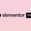 Elementor-Pro