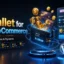 Wallet for WooCommerce